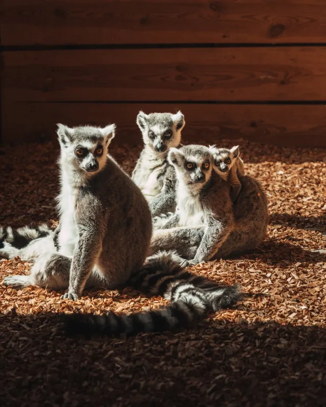 Mini zoo Papugarnia Gdańsk